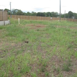 Before the Community Garden January 22 2013