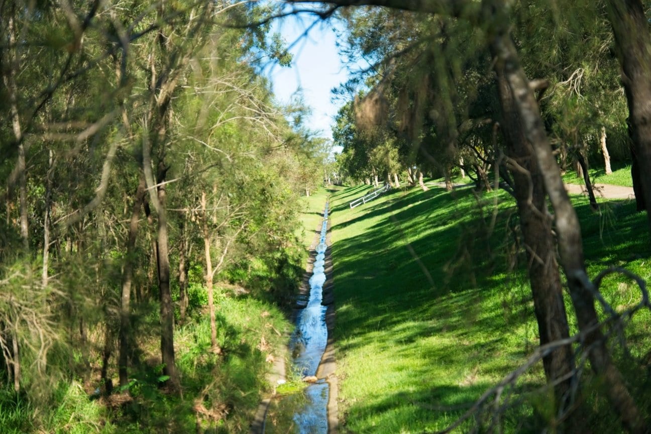 DSC00073