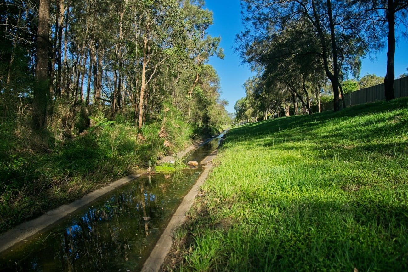 DSC00080