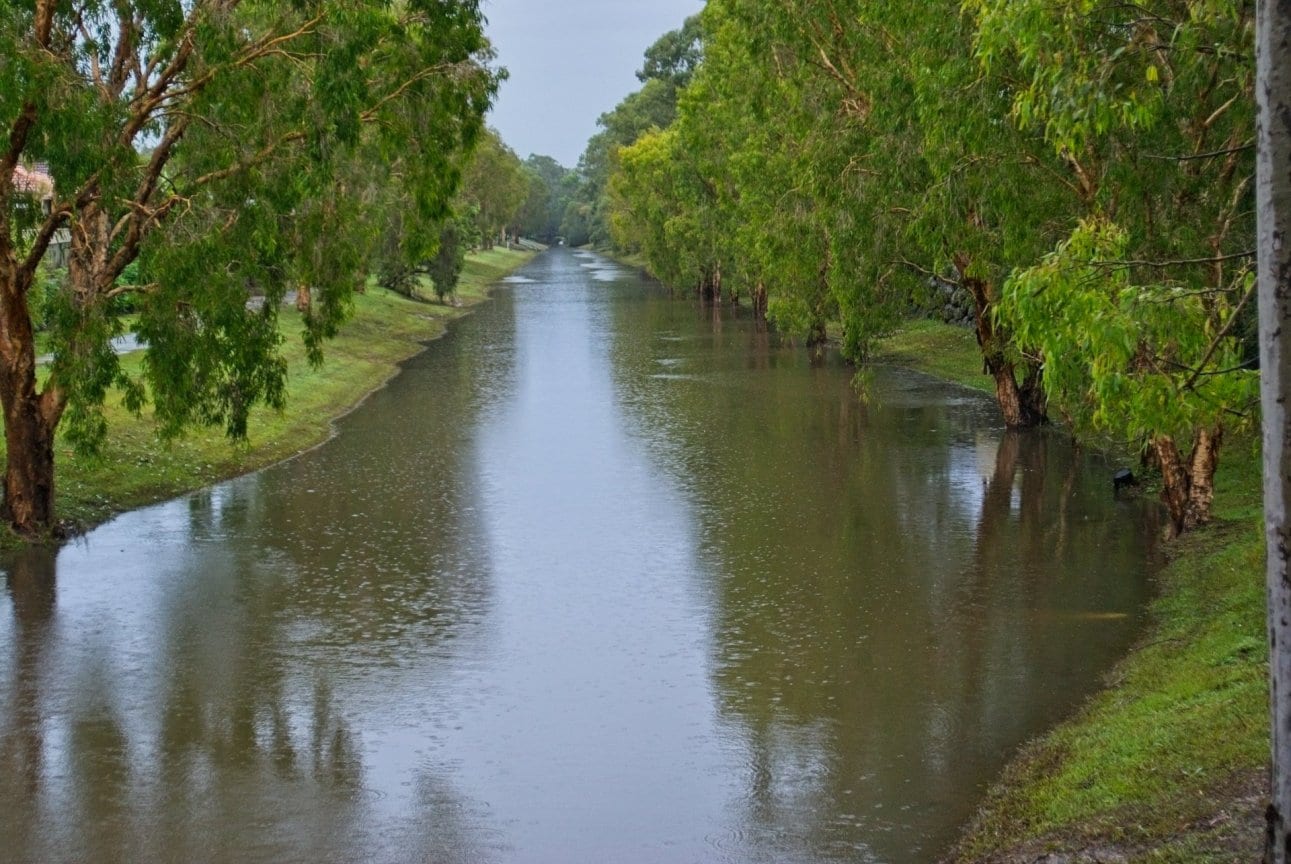 DSC09638