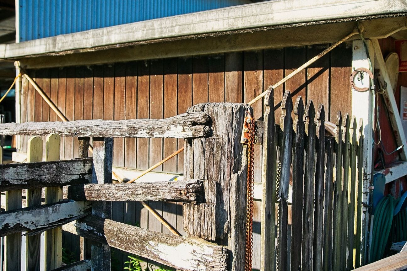 DSC00318